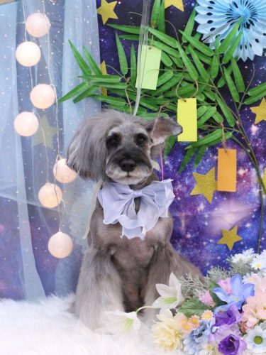 20250708ティノくん